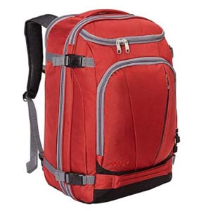 eBags Travel backpack for back pain