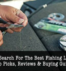 best-fishing-line-for-trout