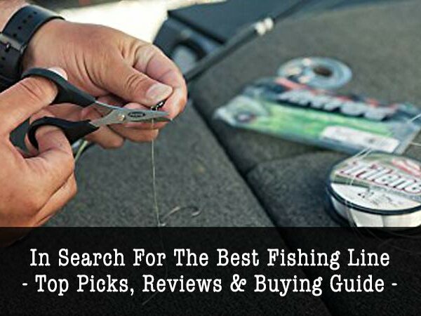 best-fishing-line-for-trout